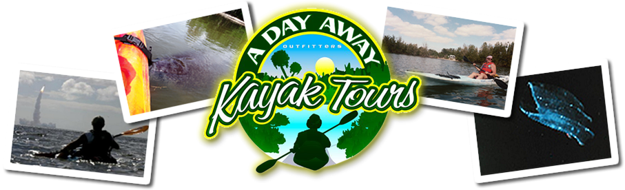 A Day Away Kayak Tours link image