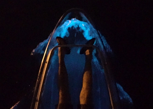 Kayak in bioluminescent water