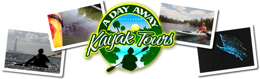 Click to access the A Day Away Kayak Tours website A Day Away Kayak Tours link image