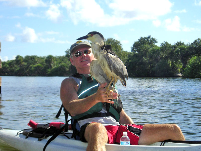 bird on kayaker