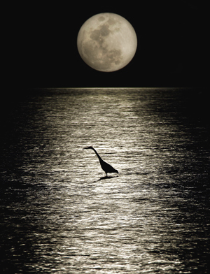 moonlight kayak tour near me