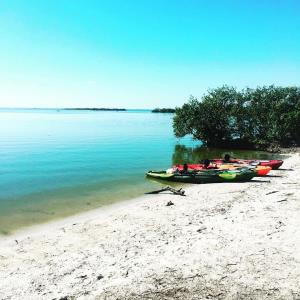 kayaks on the beach