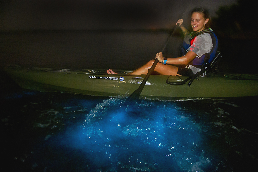 bioluminescence kayak tour california