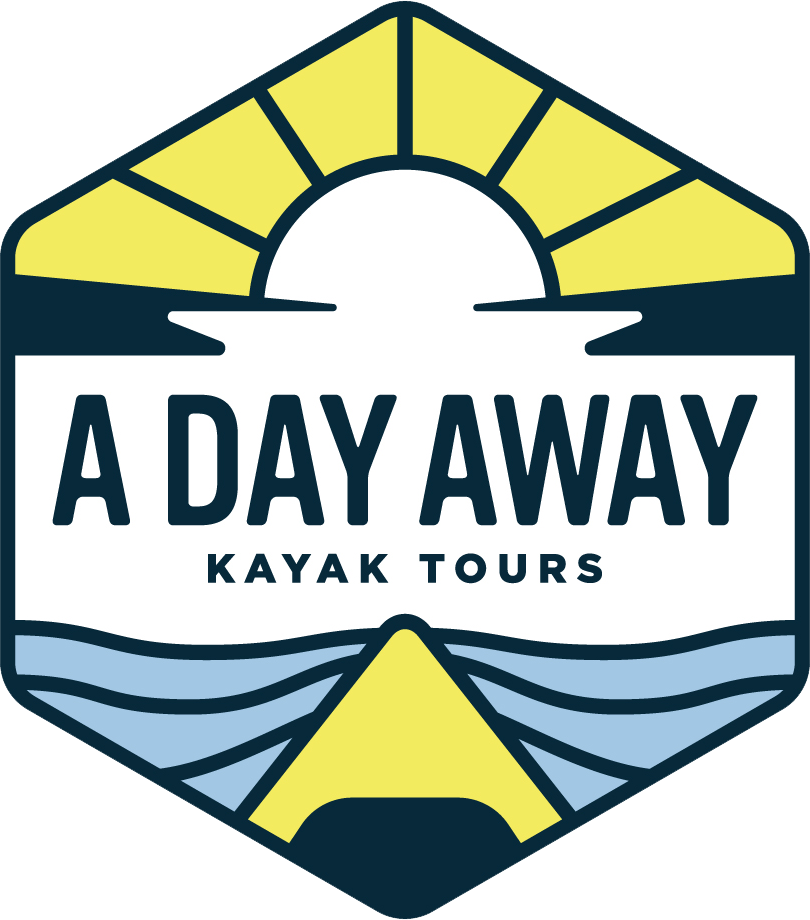 Call A Day Away Kayak Tours and Reconnect with Nature down Florida's Silver River Today!