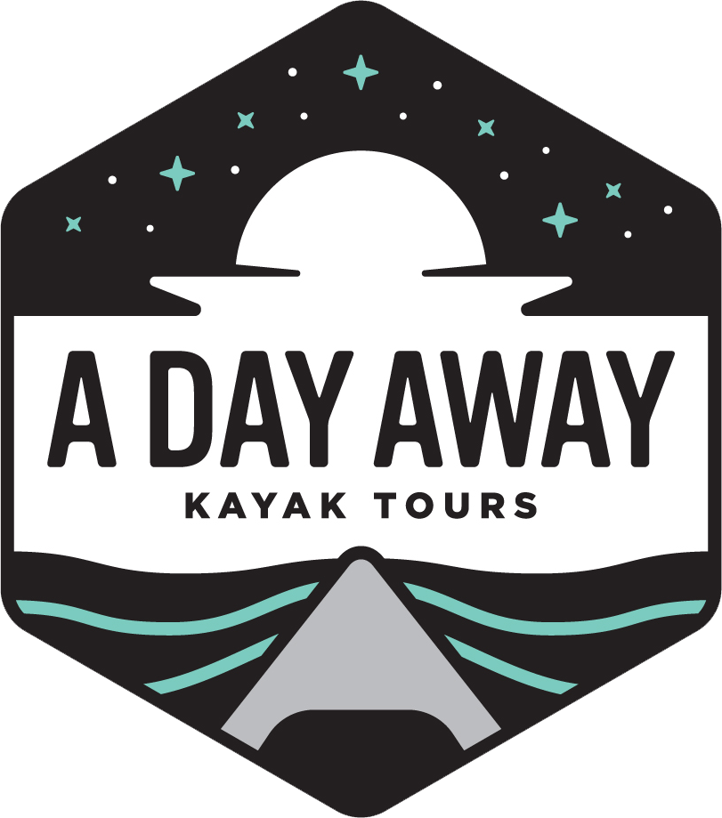 Call A Day Away Kayak Tours and Reconnect with Nature down Florida's Silver River Today!