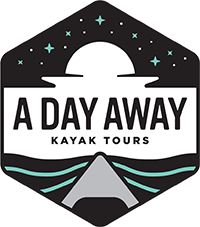 Call A Day Away Kayak Tours and Reconnect with Nature down Florida's Silver River Today!