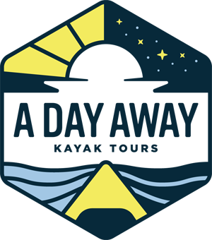 Call A Day Away Kayak Tours and Reconnect with Nature down Florida's Silver River Today!