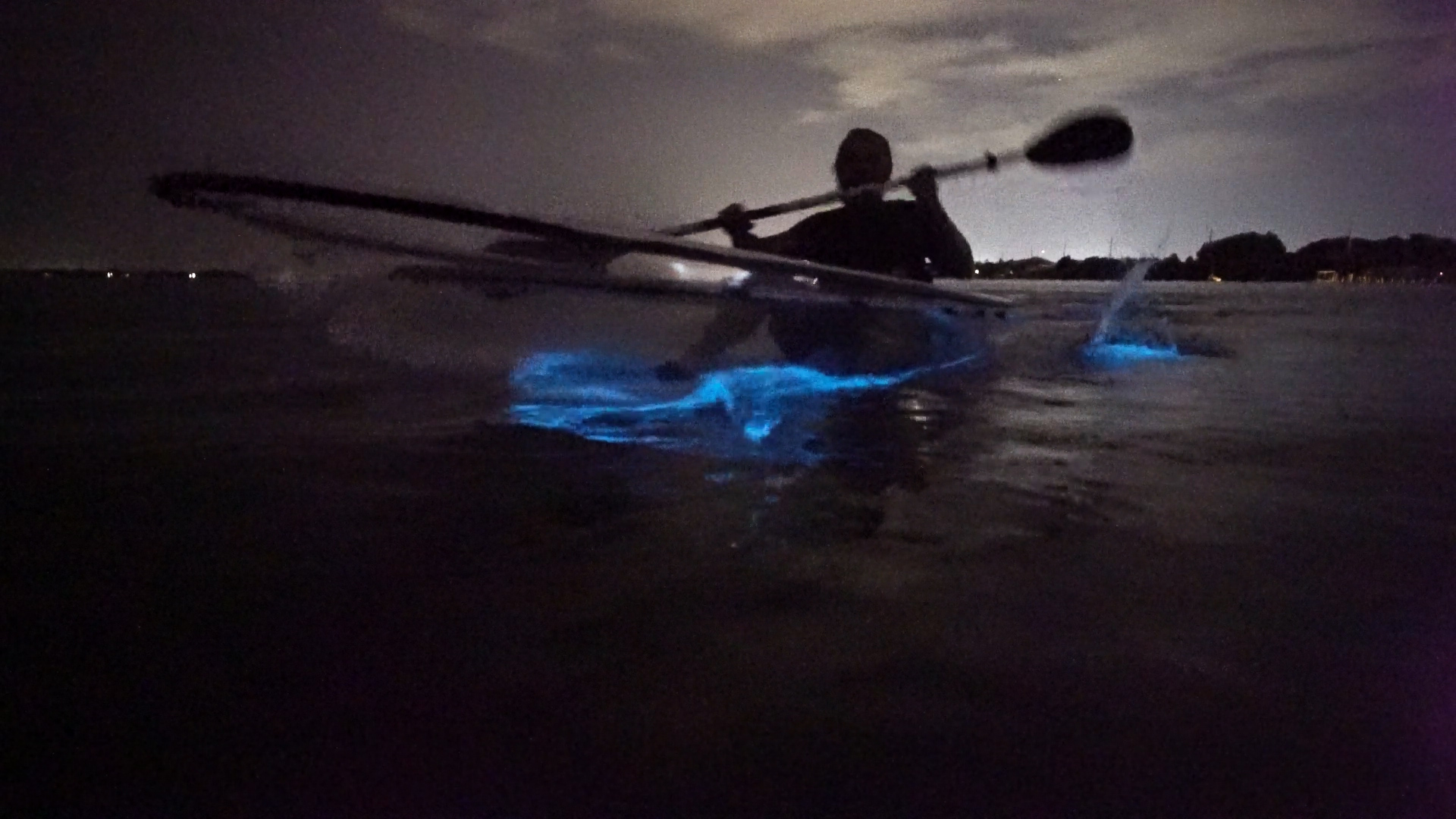 mosquito bay bioluminescent tour clear kayak