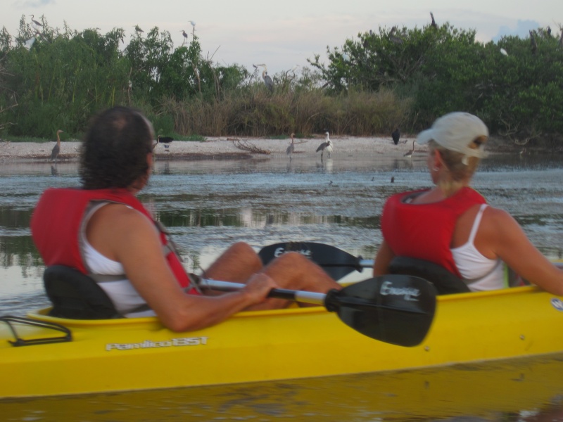 A Day Away Kayak Tours - All You Need to Know BEFORE You Go (2024)