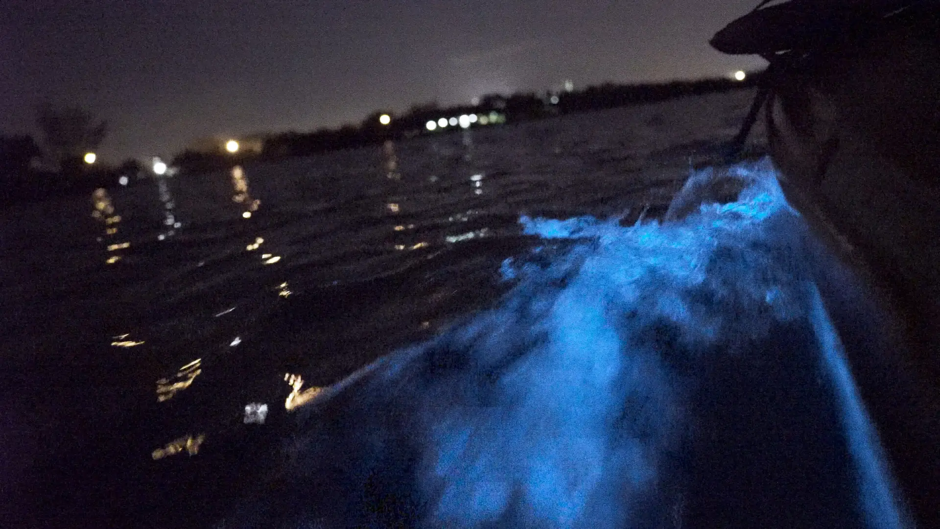 Wake of kayak (1)