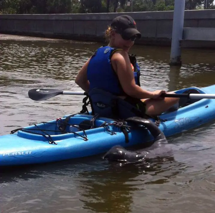 hello (2)